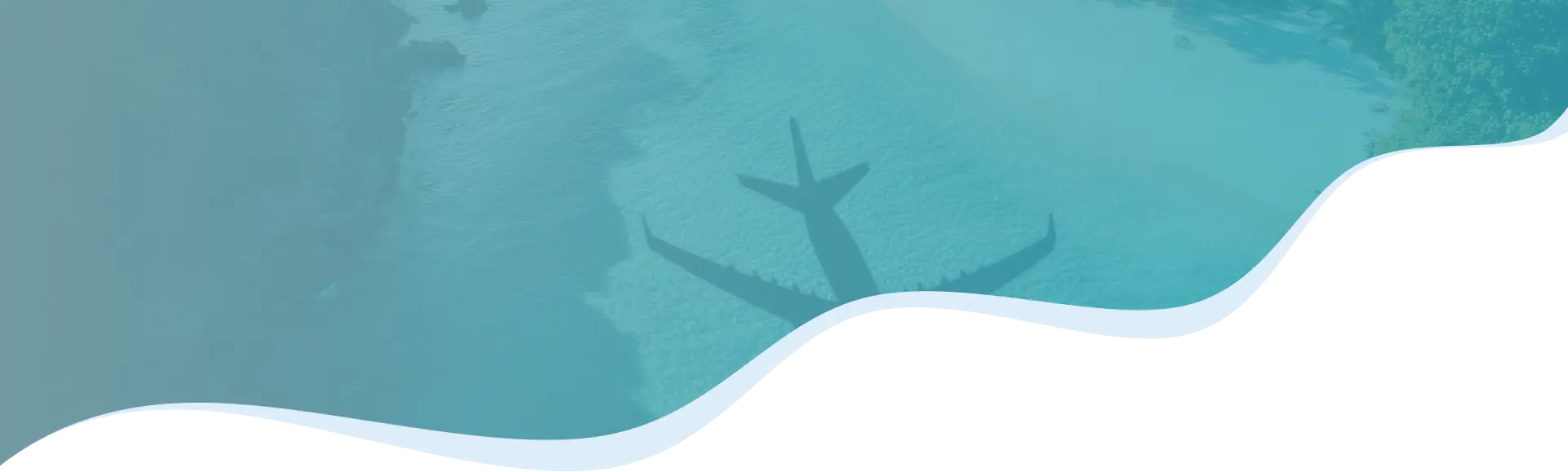 Breadcrumb Background
